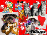 Pets !!!!! <3 <3