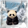Panda bear in winter