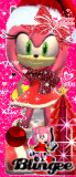 ♥Merry Christmas from Amy and her #1 fan!!♥