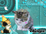 Cute Cat