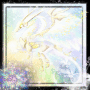 Light Dragon- Lux Lucis