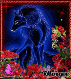 Blue wolf