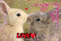 LОVE∮