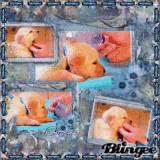 *-* sweet dog *-*  (5 estrellitas por este cachorrito) devuelvo el comment