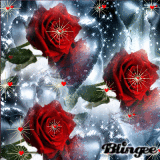 rosas rojas