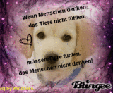 Menschen denken einfach nicht nach!