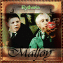 i love malfoy