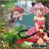 Tokyo-Mew-Mew