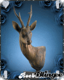 Roebuck