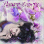 Flower Lovers in purple