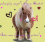 Horse contest guineapig angel