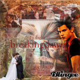 Breaking Dawn ♥