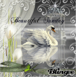 schönen Sonntag für dich