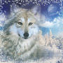 wolf moon winter
