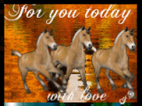 TAG HORSES 4 YOU