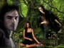 Damon or Stefan  ?