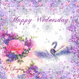 Happy Wednesday!