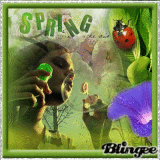Spring is in the air