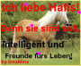 Ich Liebe Hafis