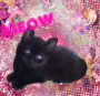animaux i love