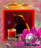 Cocktail Momente