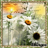 you are the sunshine of my life