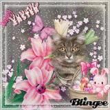 Happy Easter for all members of the group I_love_cats
