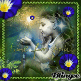 spring 2012 midnightstar
