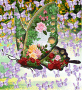 BUTTERFLYS