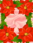 Red flower