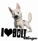bolt