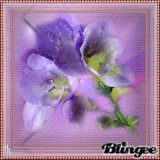 blüte in lila