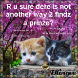 Seeking de prinze