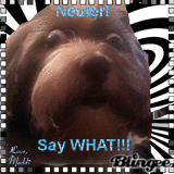 Neuter! Say WHAT!!!? by Maddi 