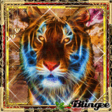 Gif Animate Noyz Narcos Immagini P 4 Di 250 Blingee Com