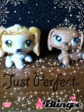 LPS just perfect