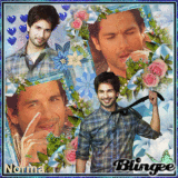 Shahid Kapoor
