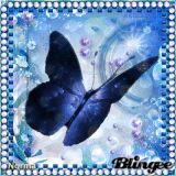 Butterfly Challenge