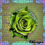Nice Day in Spring for you 