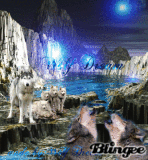 Wolf Dream