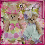 Bear Friends Bear Friends