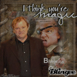 Brendan Gleeson-Alastor "Mad Eye" Moody in Harry Potter
