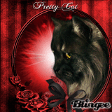 Pretty Cat   By BRU 