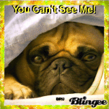 You Can't See Me...   By BRU