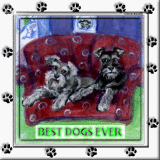 Scooter & Rockie Balboa  ~ For Junie Moonie ♥ 