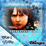 *-Bran Stark-* House Stark {Game of Thrones}