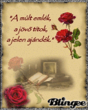 Múlt, jelen, jövő!