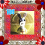 Rayman Ravin' Rabbid Pokeball - Hi!