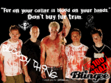 Simple plan bloody thing,...
