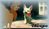 bolt and dixie